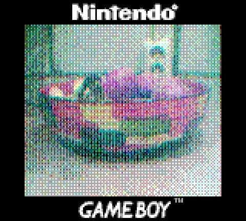 How to make real color photos with your Game Boy Camera